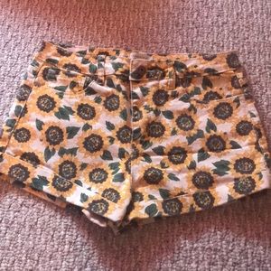 Sunflower shorts
